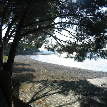 Oliva With Sea View Lejlighed Fažana